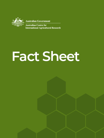 fact sheet placeholder image