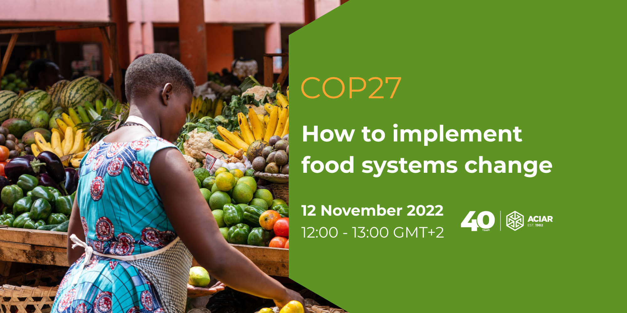 How to implement food systems change