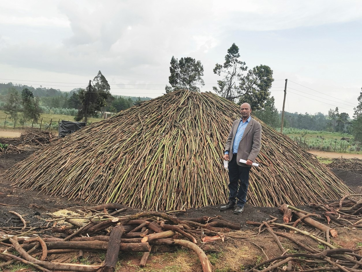 man in front of a pile of black wattle sticks