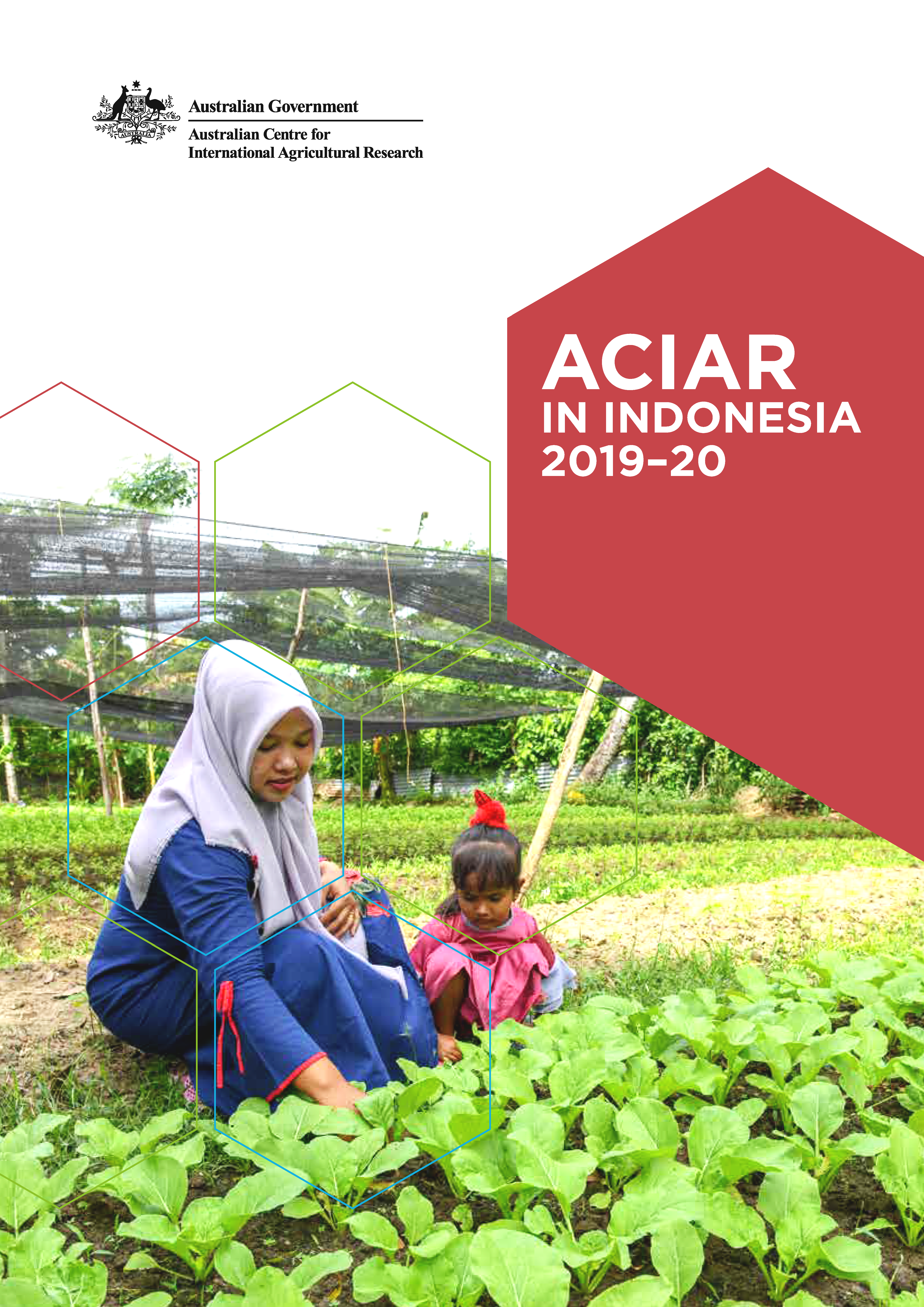 ACIAR in Indonesia 2019-20 publication cover