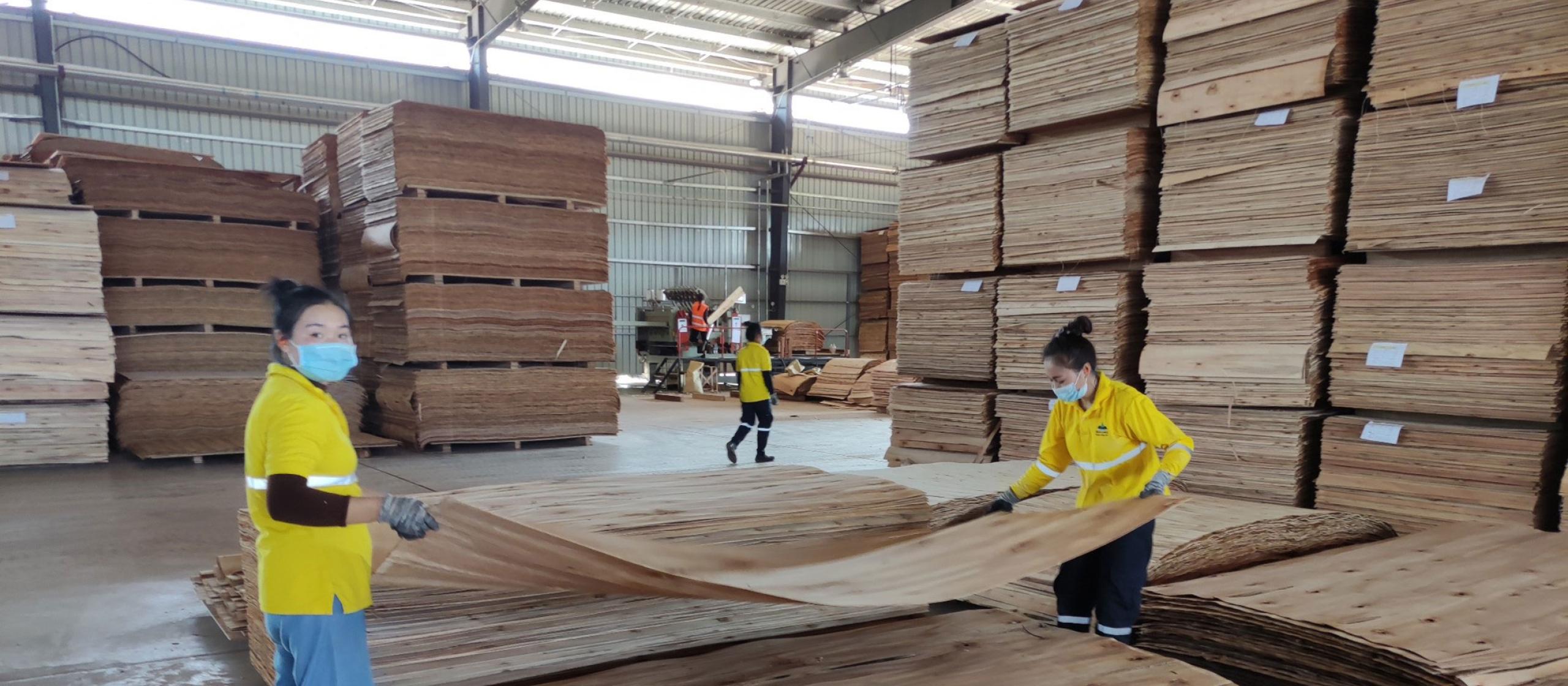 Two people holding a large sheet of timber in a timber warehouse