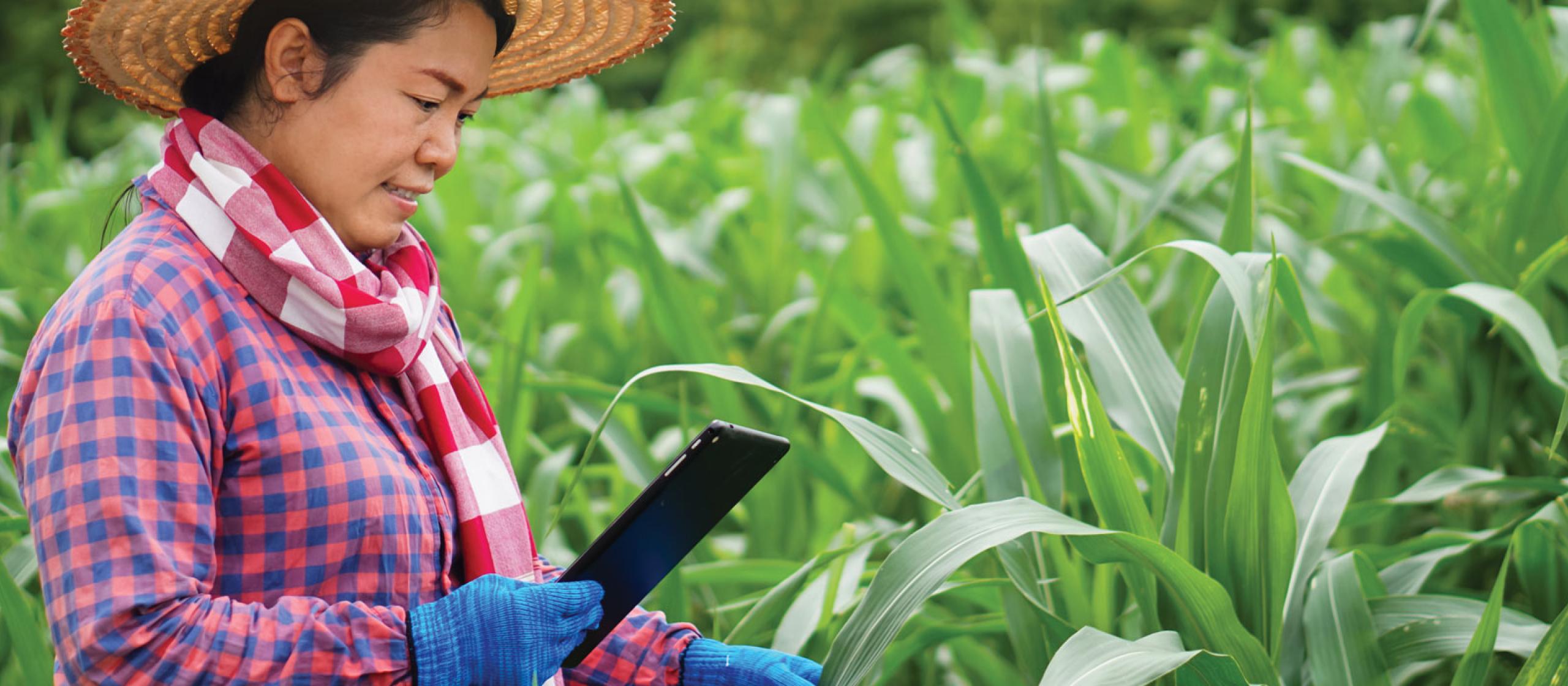 Women in crop wearing hat and gloves looking at a mobile device