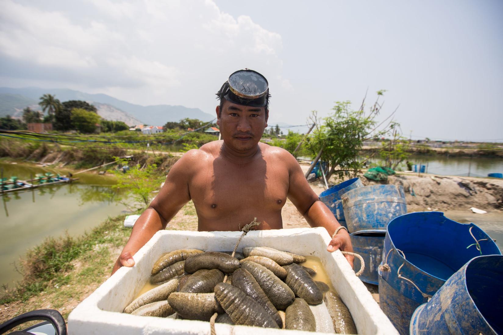 A man displaying a tub of freshly harvested sea cucumber.