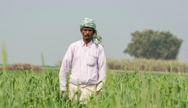 Man walking through crop field