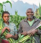 young woman and elderly man in a crop field in Kenya