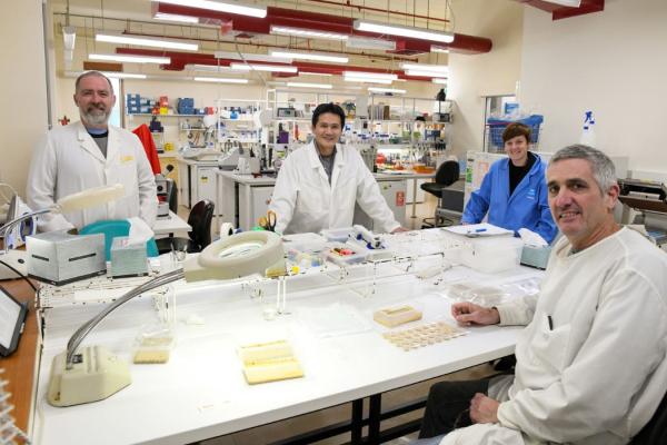 Dr Tom Walsh (left), Dr Wee Tek Tay (second left), Dr Sarina Macfadyen (second right) and Dr Bill James (right) discuss fall Armyworm samples in the CSIRO Lab.