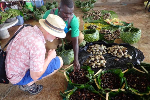 Project Leader Dr James Butler inspects produce at a local market in the Solomon Islands.