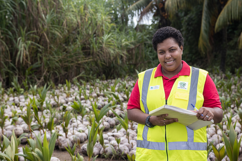 woman standing in field of coconuts