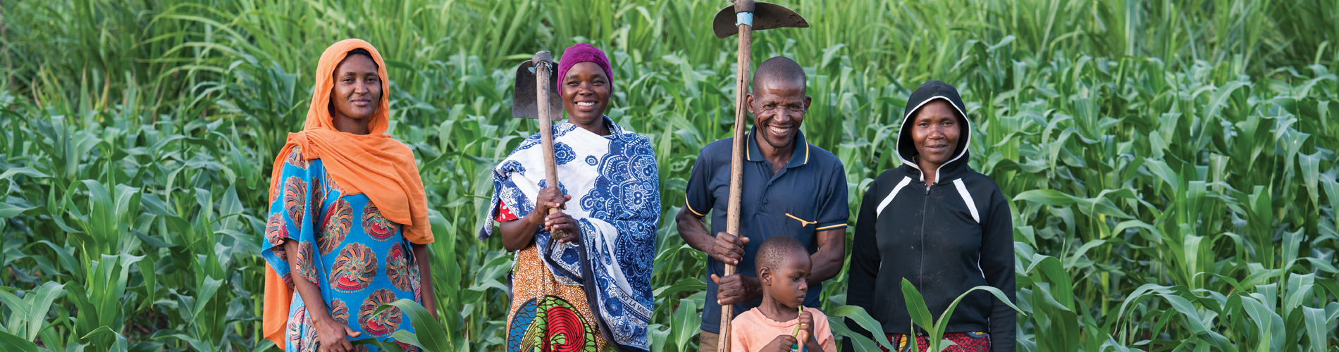 Farmers in African field 