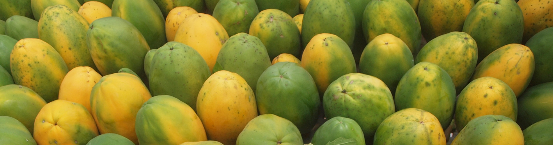 mangoes