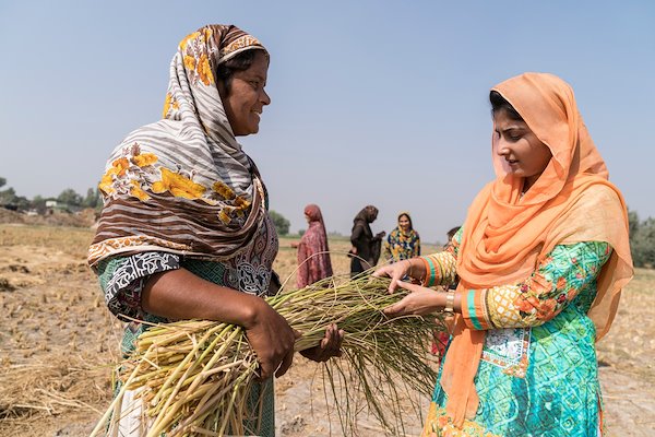 Project researcher, Anam Afzal (right) with a female farmer examining fodder used to feed livestock. Image: ACIAR/Conor Ashleigh