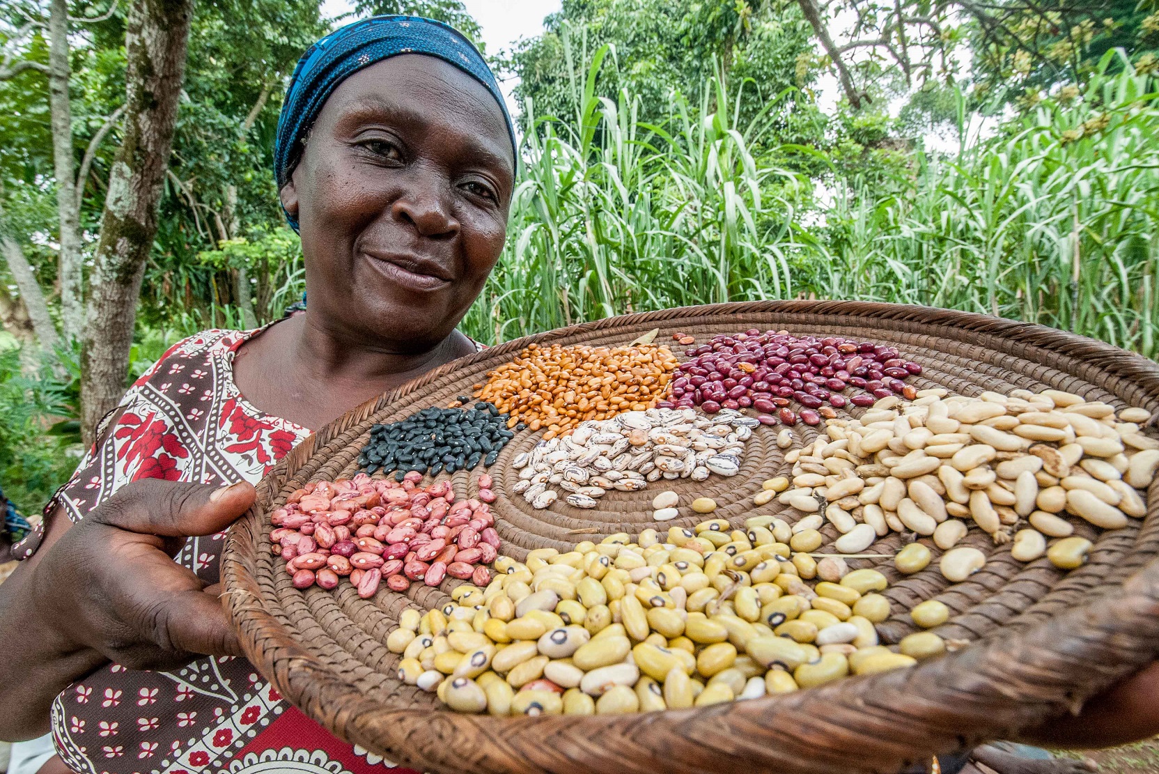 woman holding tray of assorted beans