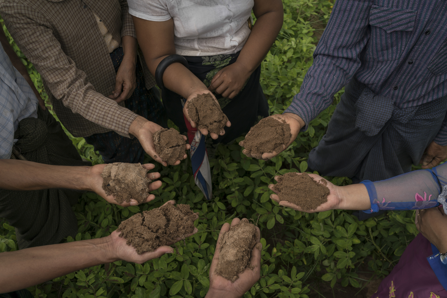 hands holding soil samples