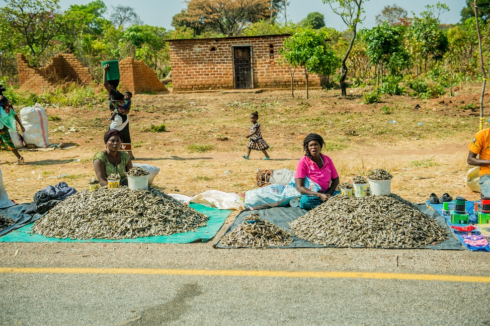 women selling dried fish