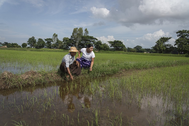 two people in field