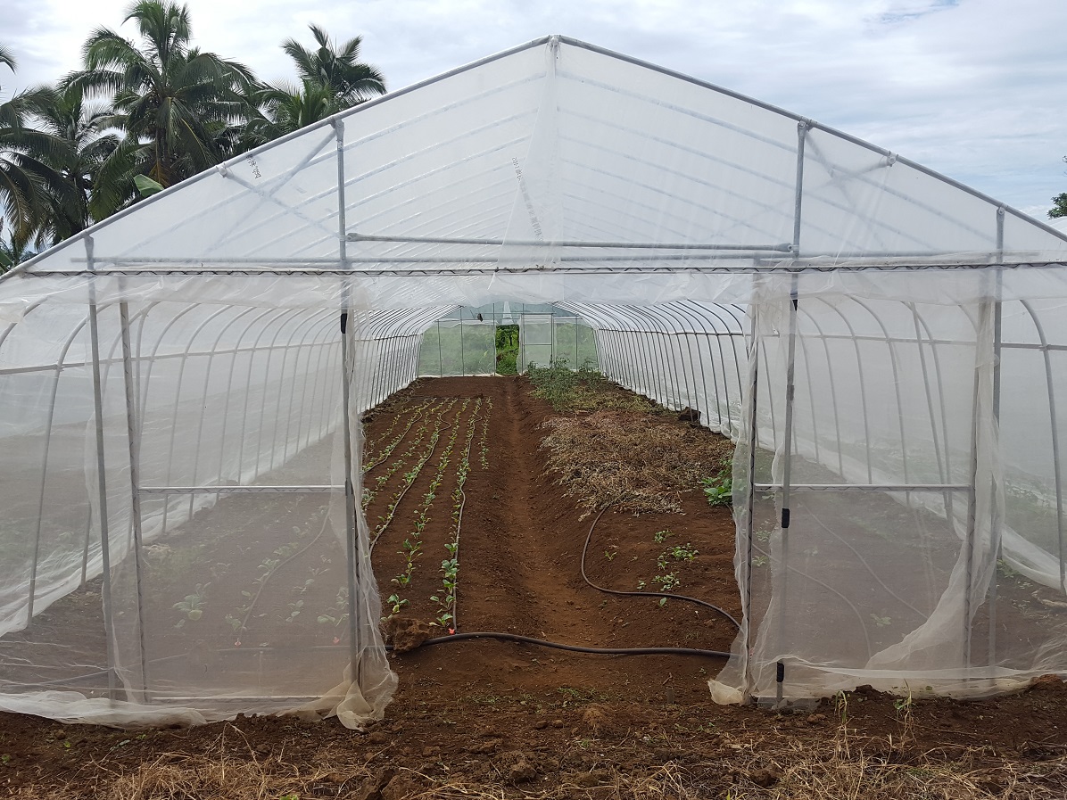 polytunnel