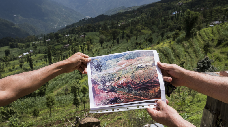 nepal foresty impact