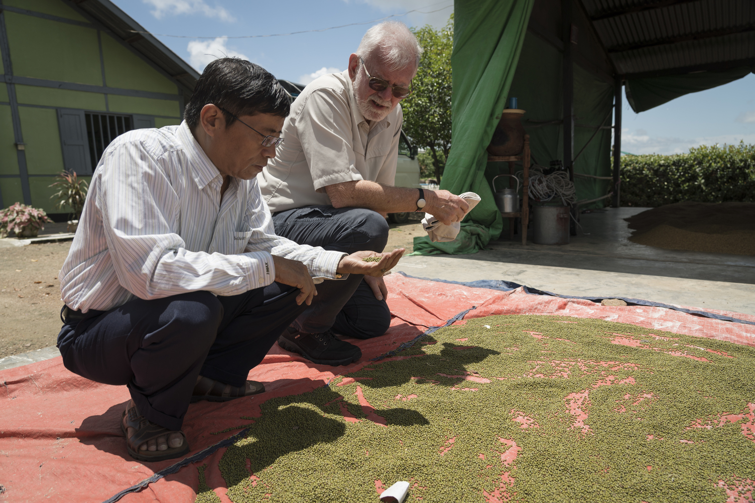 two men inspecting pulses