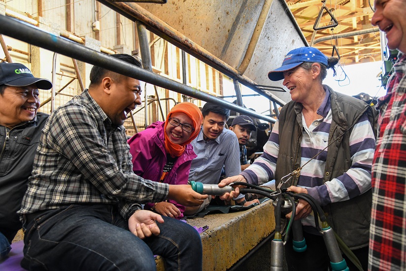 man (laughing) with thumb in milking machine