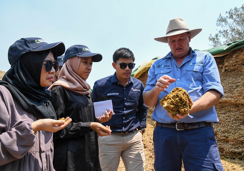 group looking at cattle feed