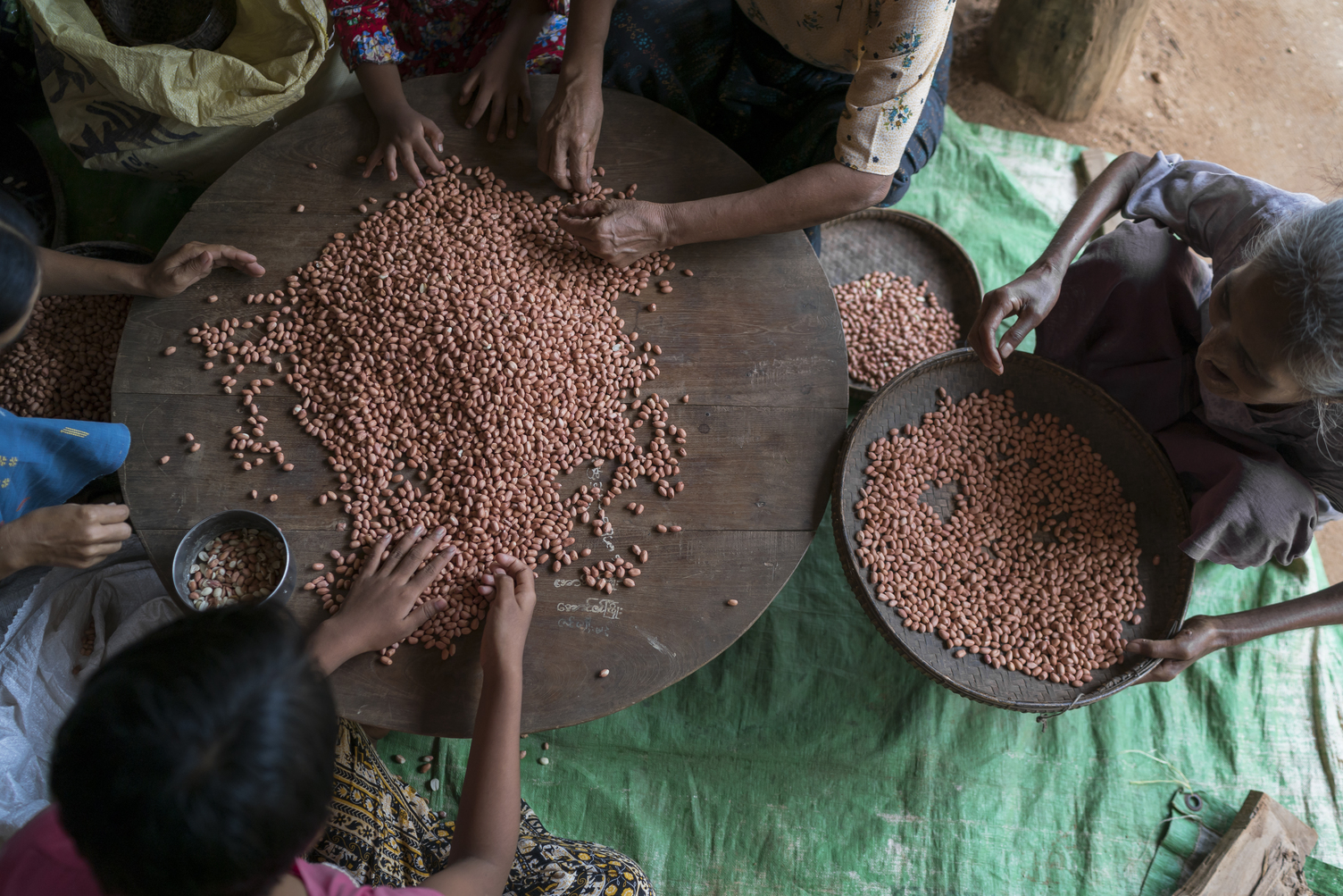 sorting pulses