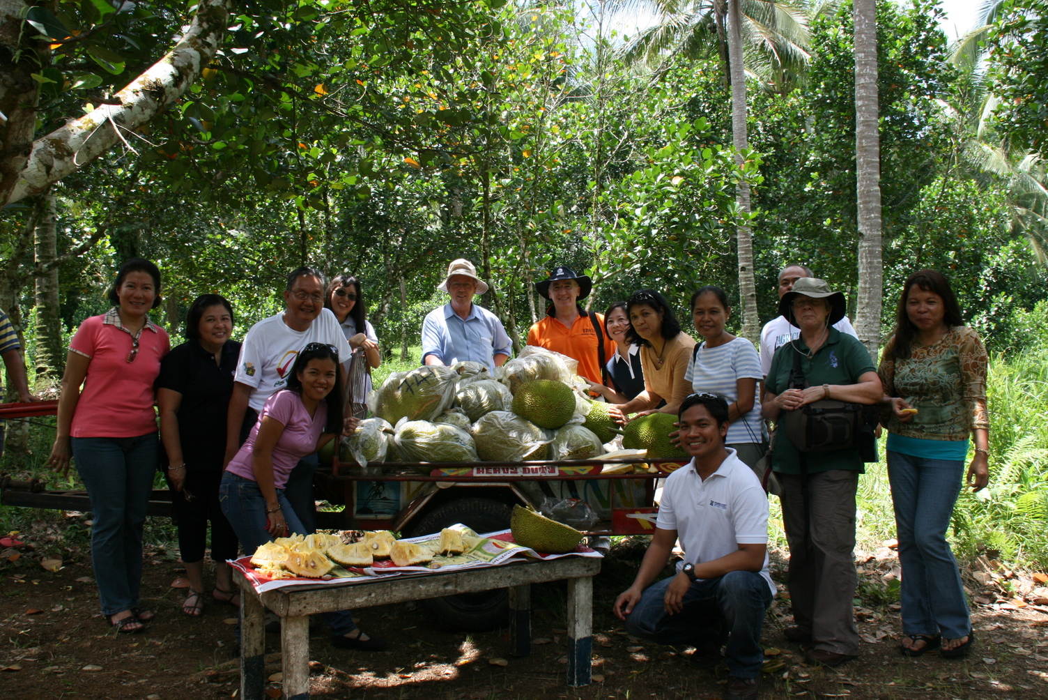 Fruit in the Philippines