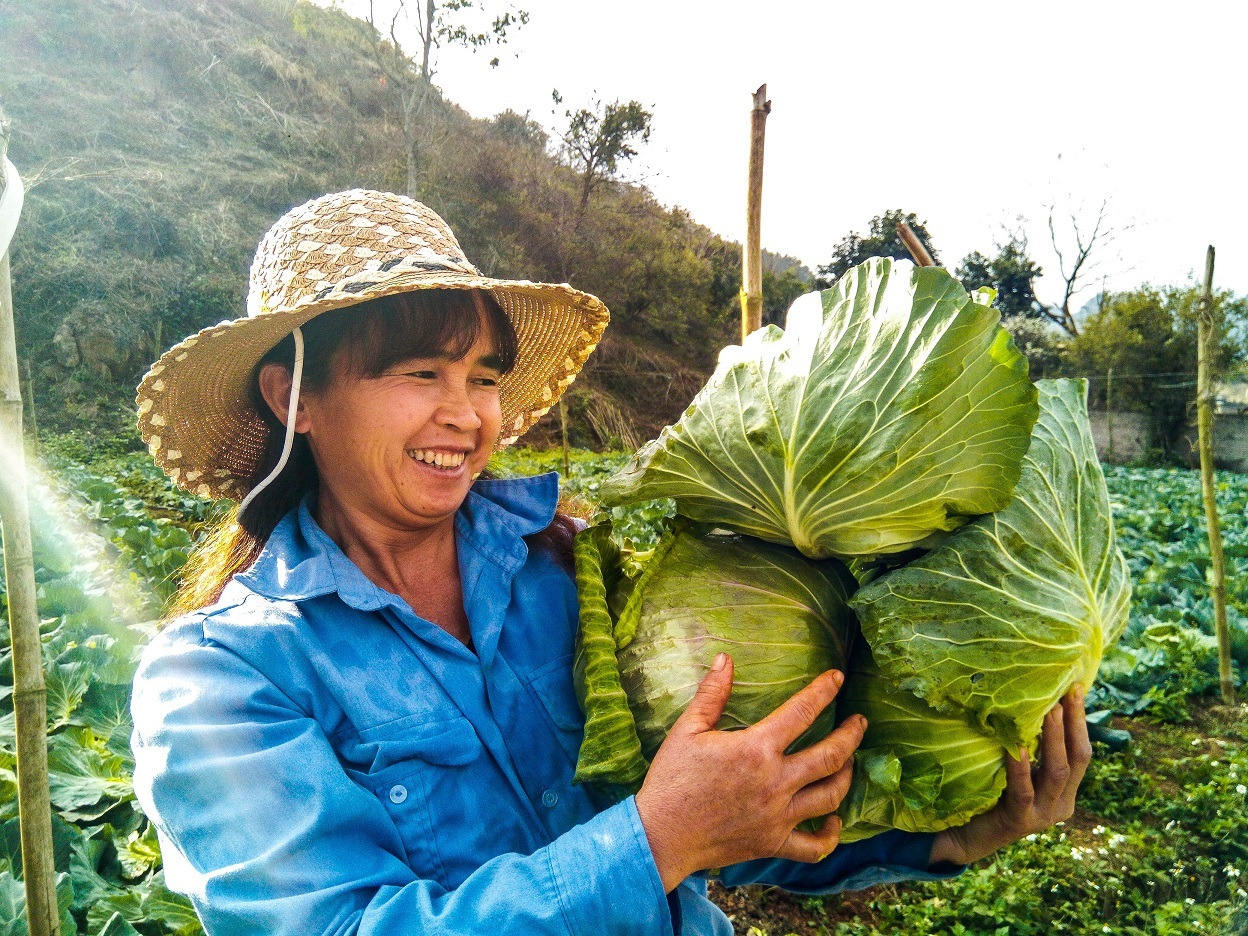 Vietnamese farmer