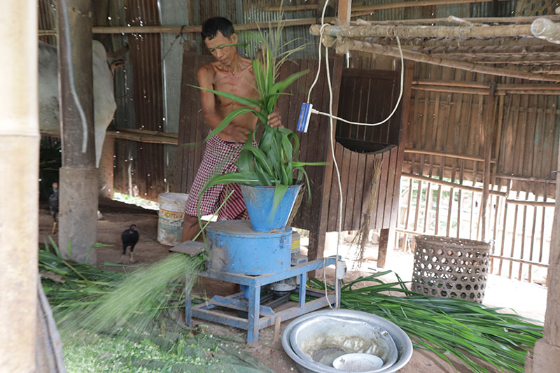 Forages Cambodia