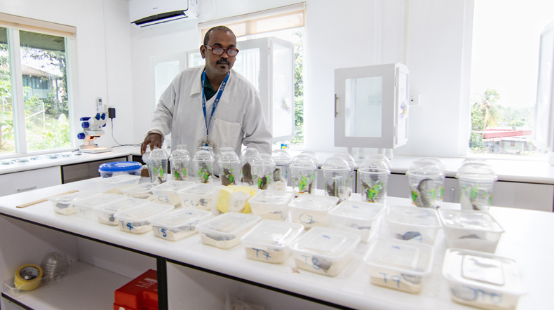 Nitesh Nand, SPC Plant Health Field Technician, conducts tests on guava leaves at the new Plant Health Laboratory.. It is the first Plant Health Laboratory of its kind in the Pacific region. It is at the SPC Campus in Narere, Fiji.