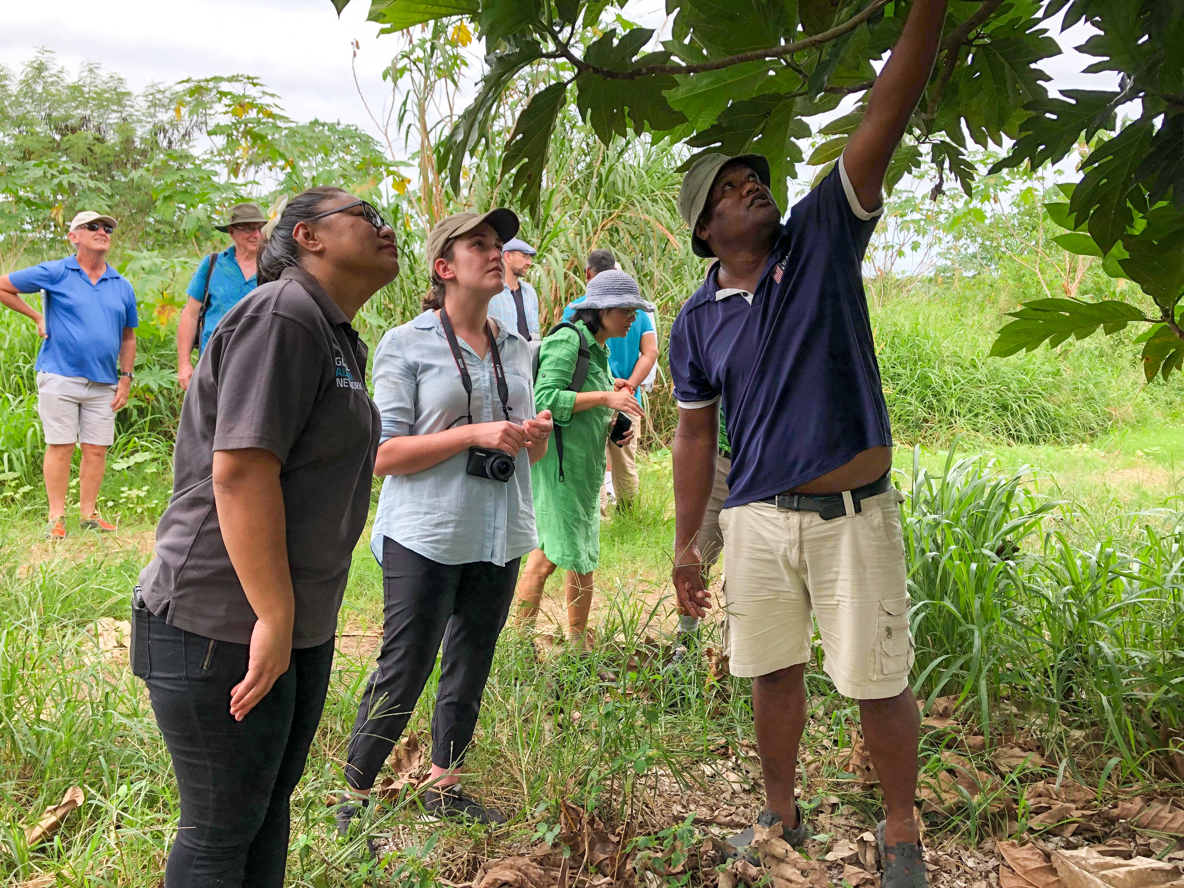 Researchers in the field 