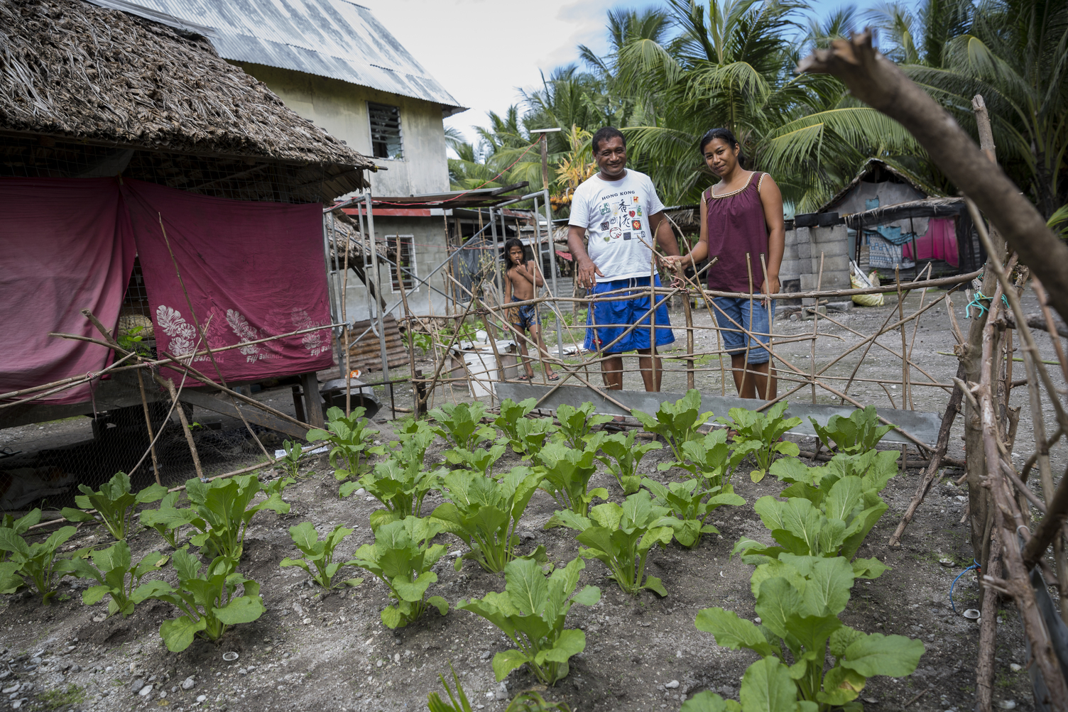 Kirribati traditional food growers