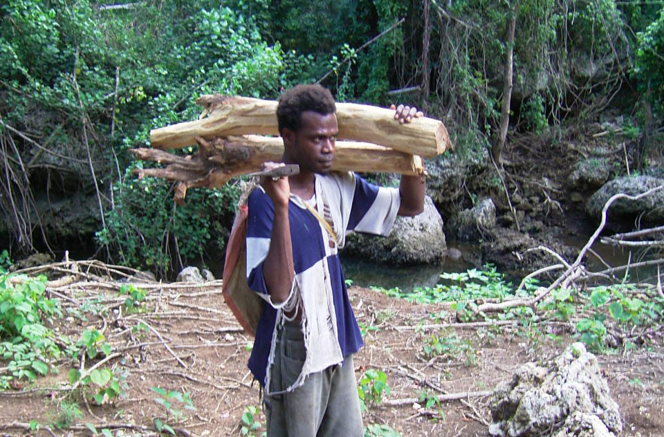 Sandalwood harvester