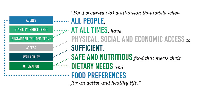 The pillars of food and nutrition security