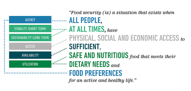 The pillars of food and nutrition security