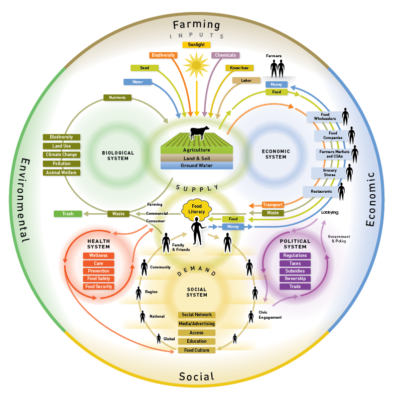 A complex diagram showing the interacting elements within a food system and their relationship with farming, environmental, social and economic drivers