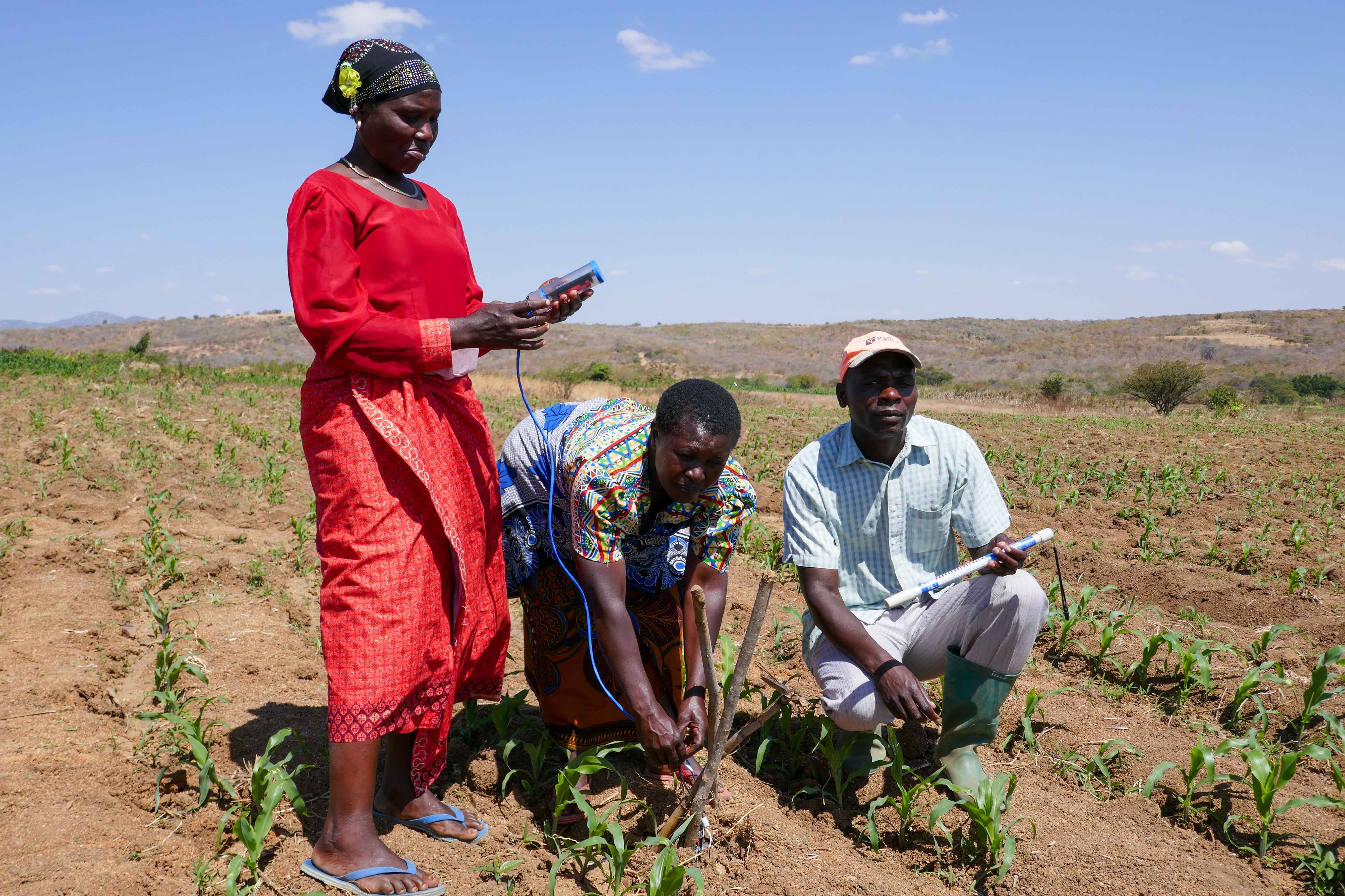 Farmers connecting the Chameleon Reader Kiwere to the three underground sensors, Irrigation Scheme farmers, in Iringa District. Credit: Stanley Awaki