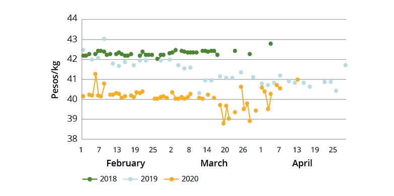 A scatter graph showing the retail prices of well-milled rice in the national capital region of the Philippines in 2018, 2019 and 2020