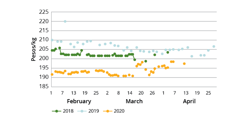 A scatter graph showing the retail prices of lean pork meat in the national capital region of the Philippines in 2018, 2019 and 2020