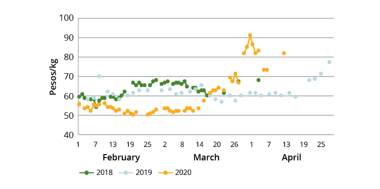 A scatter graph showing the retail prices of cabbage in the national capital region of the Philippines in 2018, 2019 and 2020