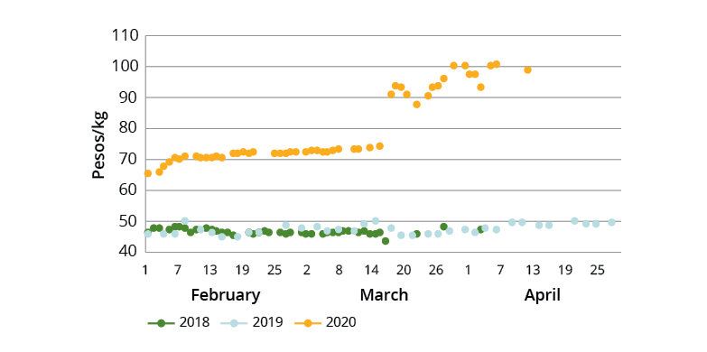 A scatter graph showing the retail prices of Lakatan banana in the national capital region of the Philippines in 2018, 2019 and 2020