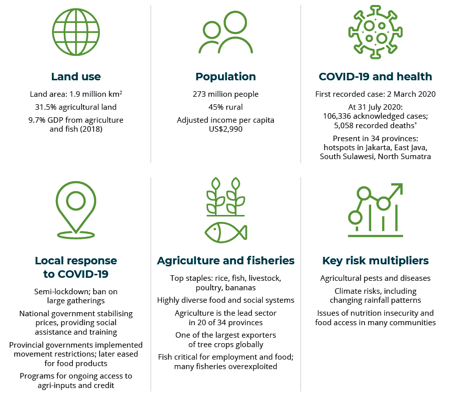 4. COVID-19 and food systems in Indonesia