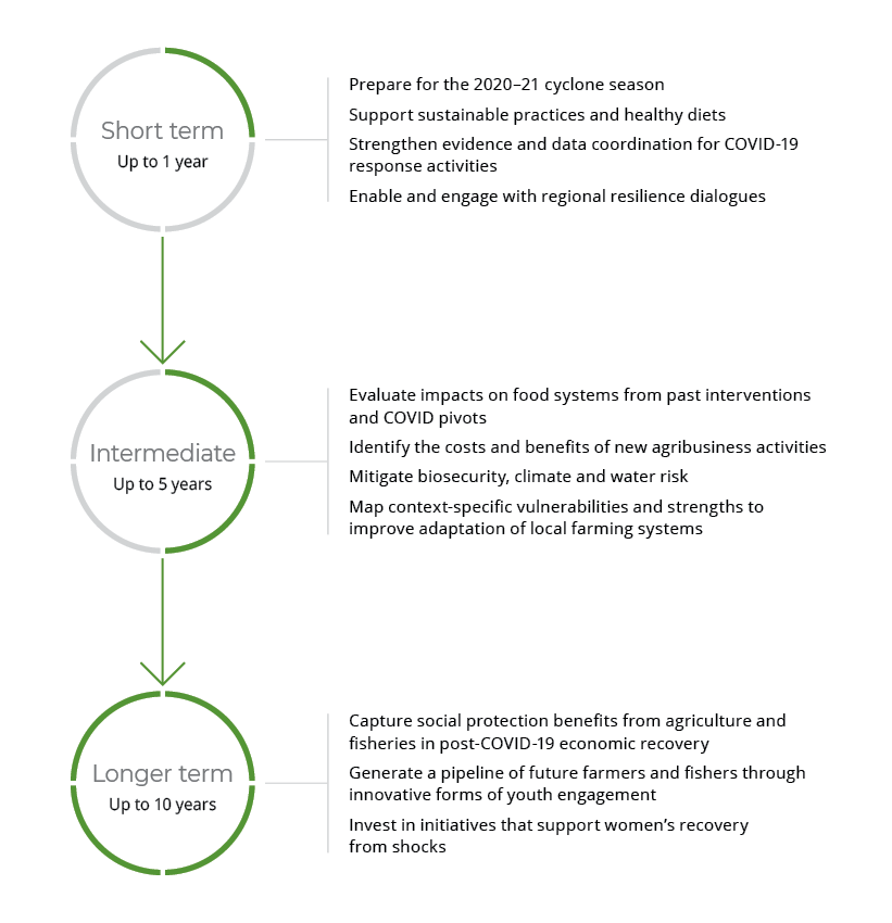 5. COVID-19 and food systems in Pacific island countries
