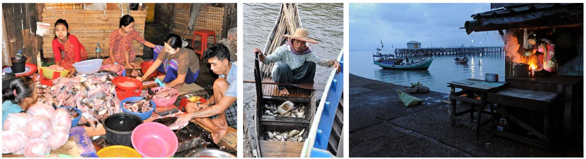 Myanmar fish market