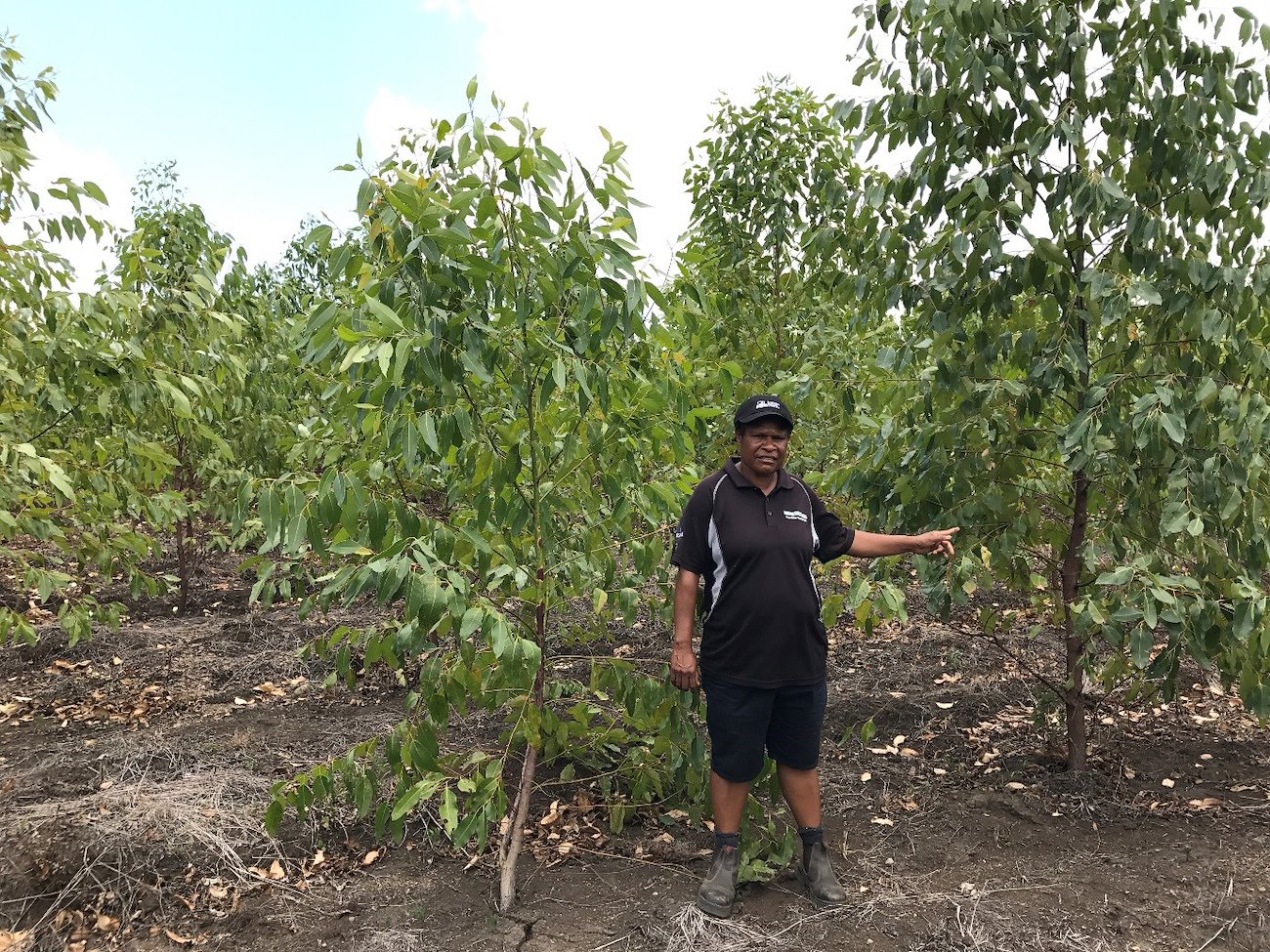 ​​​​​​​Gorethy Dipsen in a pellita plantation, established by PNG Biomass in conjunction with Mr Andrew Baing, Amari, Upper Markham Valley