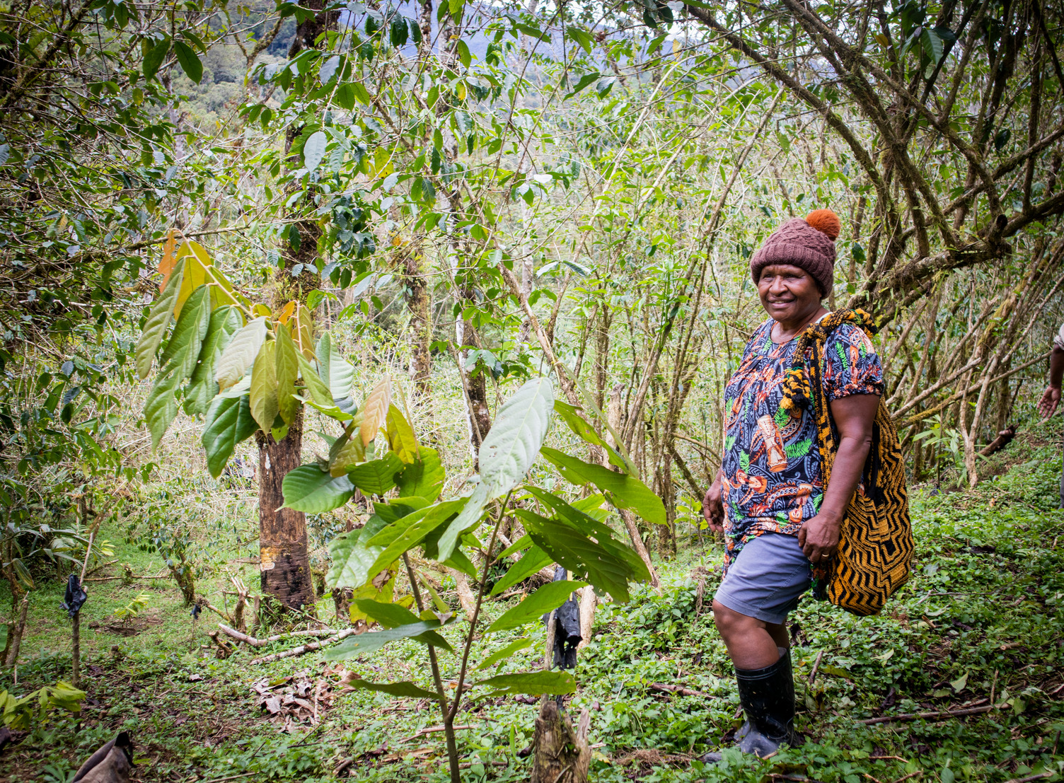 Mrs Aba Wei in her cocoa garden in Gumine district, Chimbu Province. With the introduction of cocoa into parts of the Highlands, local farmers are keen to take up the crop that has primarily been grown in coastal provinces.