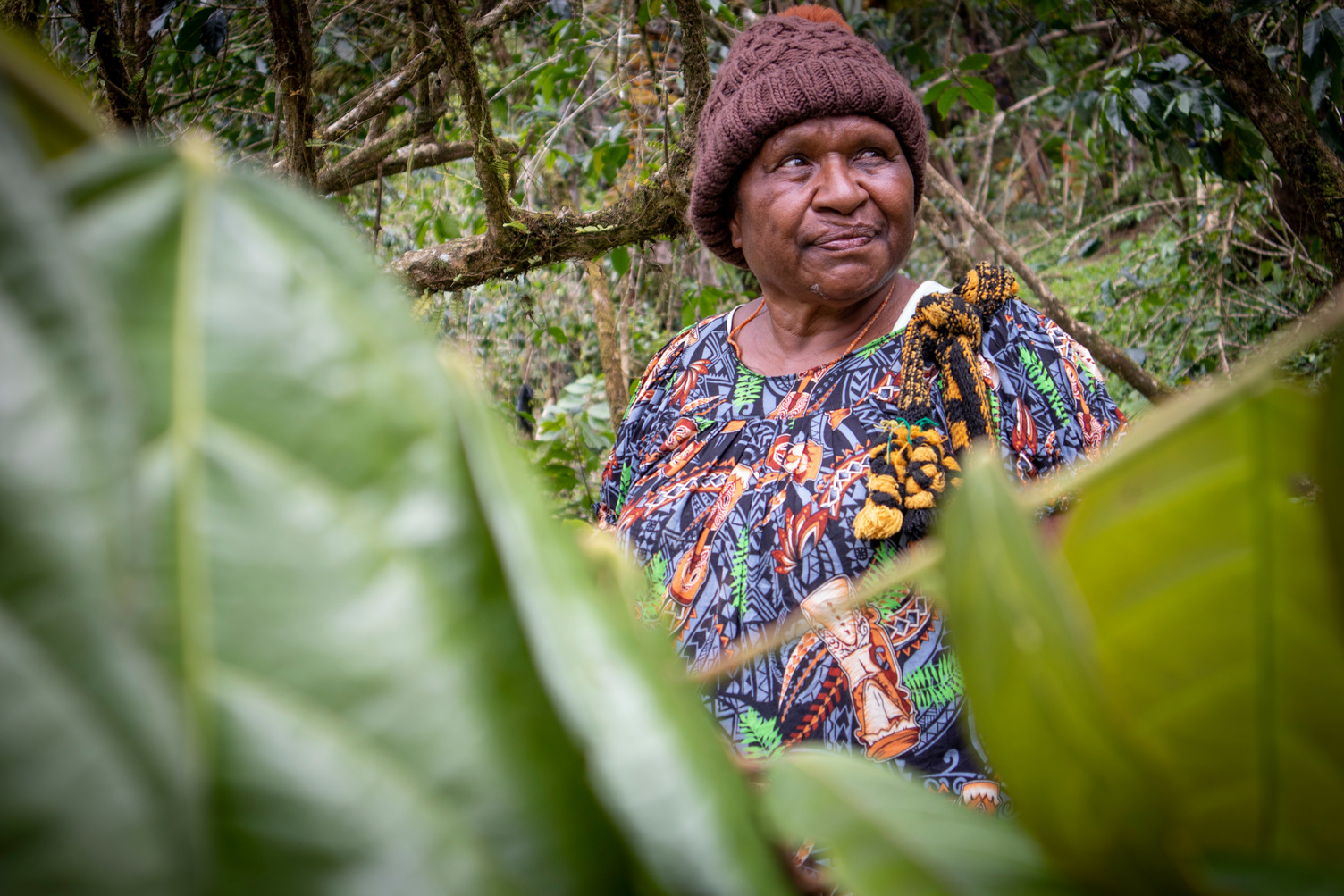 Mrs Aba Wei in her cocoa garden in Gumine district, Chimbu Province. With the introduction of cocoa into parts of the Highlands, local farmers are keen to take up the crop that has primarily been grown in coastal provinces.