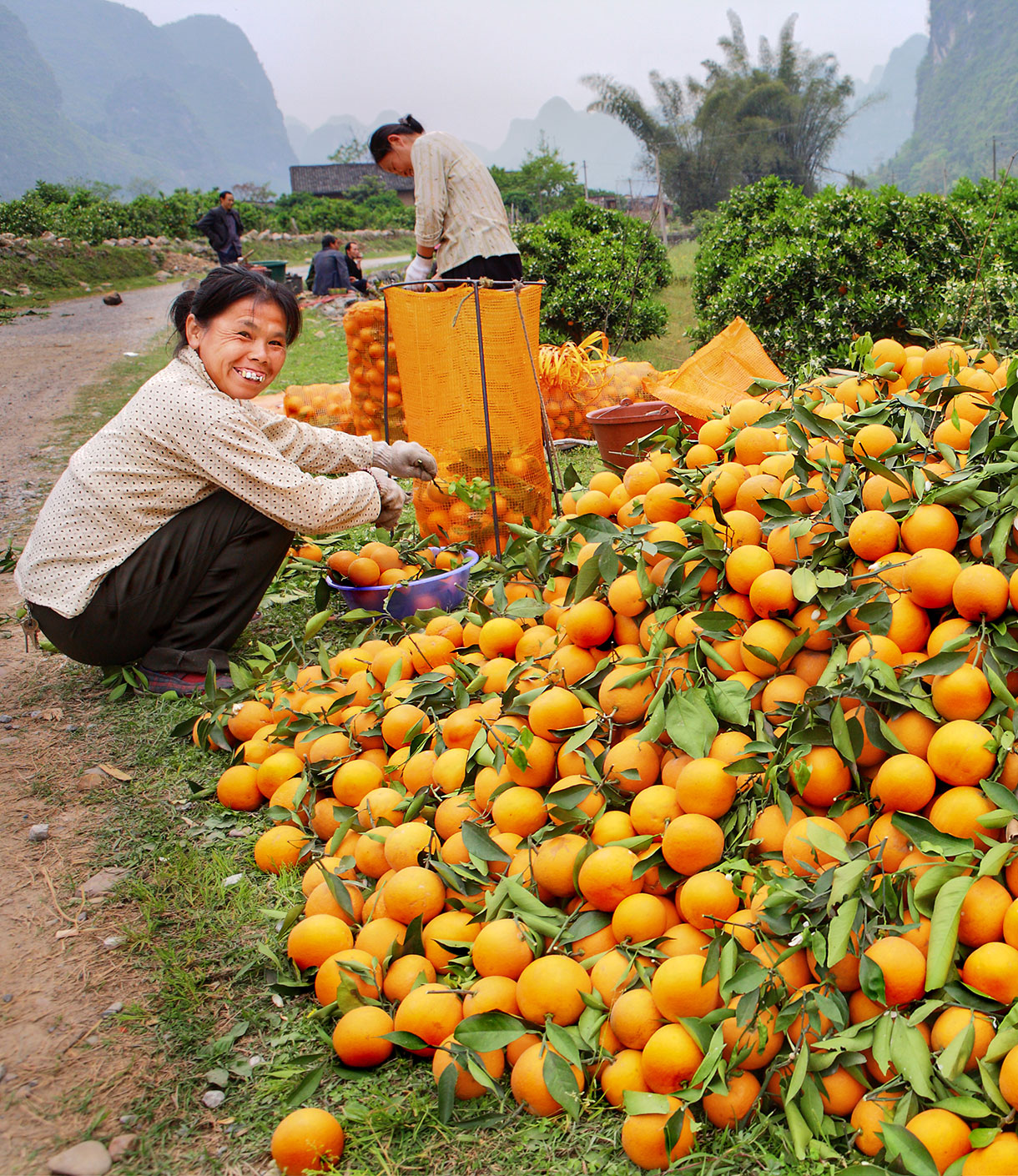 Citrus China