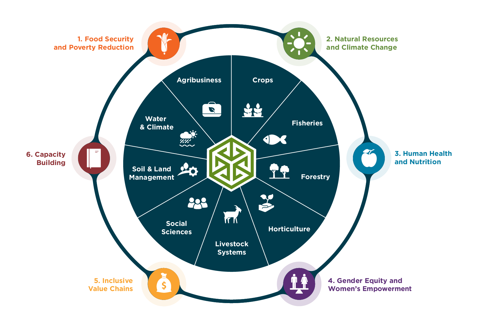 ACIAR focus areas