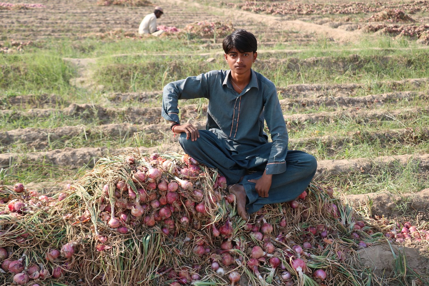 Young man sitting on pile of red onions with field of crops in background