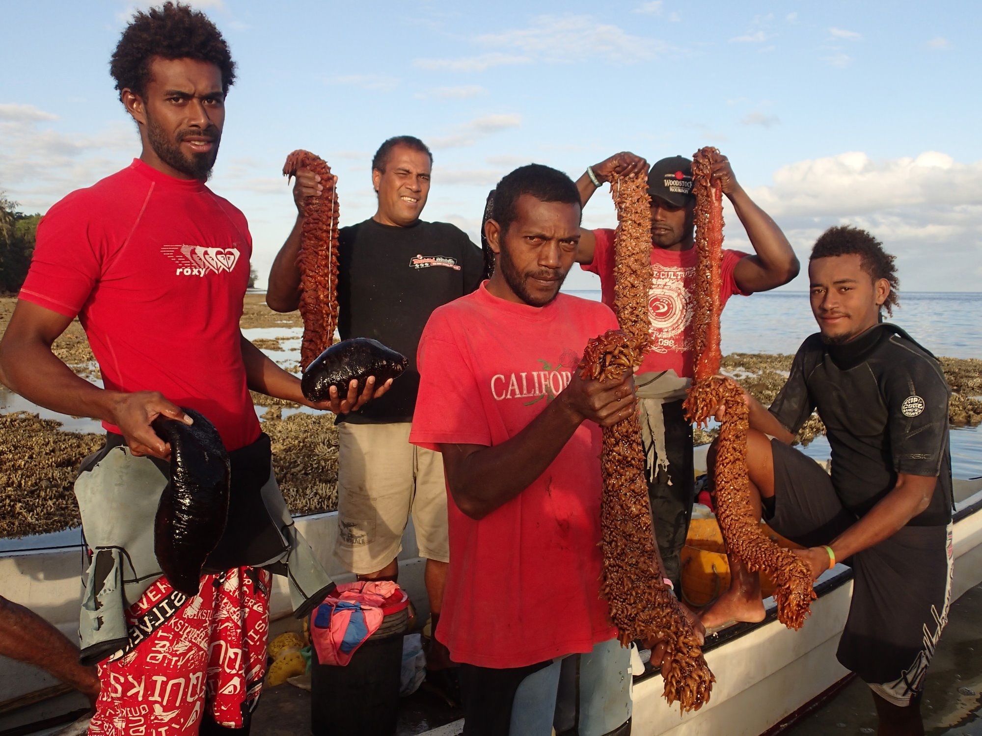 Five men standing on the shore holding sea cucumbers
